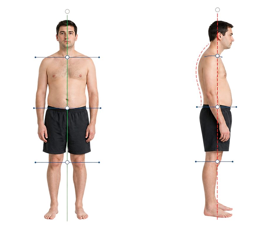 Postural alignment landmarks, front and side